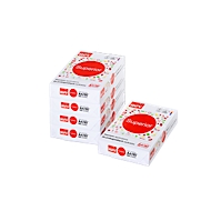 Kopierpapier REY Superior, DIN A4, 80 g/m², 1 Karton = 5 x 500 Blatt