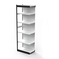 Rayonnage en acier PROGRESS 2000, champ, panneau arrière, H 2250 x l. 750 x P 300 mm, cadre argent