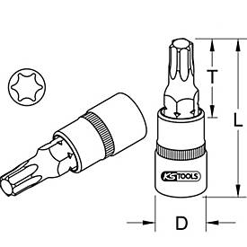 1/2' Bit-Stecknuss Torx, T40