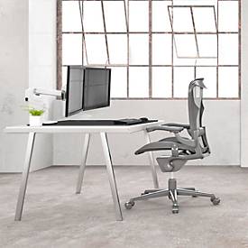 2-fach Monitorhalterung Ergotron LX Desk Dual, bis 25 Zoll, Tischhalterung, höhenverstellbar
