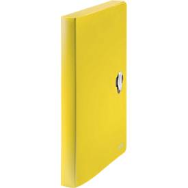 Ablagebox Leitz Recycle, bis DIN A4, Rückenbreite 30 mm, für bis zu 250 Blatt, PP, gelb