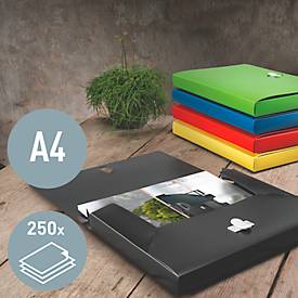 Ablagebox Leitz Recycle, bis DIN A4, Rückenbreite 30 mm, für bis zu 250 Blatt, PP, vers. Farben