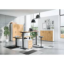 Aktenschrank Profi 2.0, 2 Einlegeböden, 3 OH, B 800 x T 400 x H 1230 mm, Grandson-Eiche/weiß