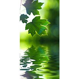 Akustik-Bild, Ahornblätter, 800x1600 mm