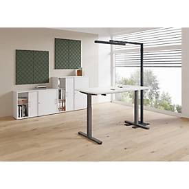 Akustik-Wandpaneel Set 2 Stück, schallabsorbierend gegen Nachhall, 100x50 cm je Paneel, für Büro/Homeoffice, 4 Farben