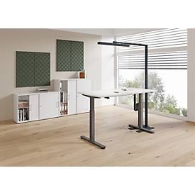 Akustik-Wandpaneel Set 2 Stück, schallabsorbierend gegen Nachhall, 100x50 cm je Paneel, für Büro/Homeoffice, 4 Farben