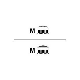 APC ABL - Patch-Kabel - RJ-45 (M) zu RJ-45 (M)