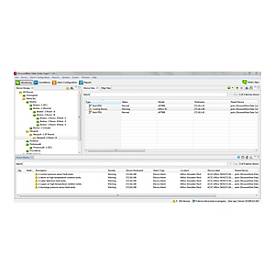 APC InfraStruXure Central Enterprise - Netzwerk-Verwaltungsgerät