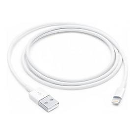 Apple Lightning-Kabel - Lightning männlich zu USB männlich