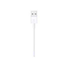 Apple Lightning-Kabel - Lightning männlich zu USB männlich
