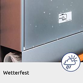 Avery Zweckform Typenschildetiketten L6012-20, extrem robust, geeignet für SW-Laserdrucker, 96 x 50,8 mm, 200 Stück/20 A4-Bogen, Polyesterfolie, silber