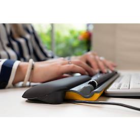 BakkerElkhuizen Maus ErgoSlider+, zentral, ergonomisch, kabelgebunden, Rollstab, 4 Tasten, USB-A/USB-C, schwarzgrau