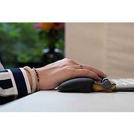 BakkerElkhuizen Maus ErgoSlider+, zentral, ergonomisch, kabelgebunden, Rollstab, 4 Tasten, USB-A/USB-C, schwarzgrau