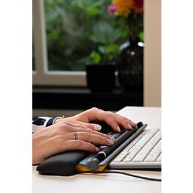 BakkerElkhuizen Maus ErgoSlider+, zentral, ergonomisch, kabelgebunden, Rollstab, 4 Tasten, USB-A/USB-C, schwarzgrau