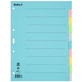 Register Karton blanko A4, 10-teilig