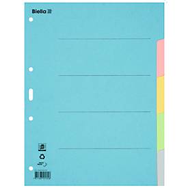 Biella Register Karton blanko A4, 5-teilig
