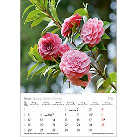 Bildkalender Korsch Blütenzauber 2026, mit Fotomotiven, B 235 x H 335 mm, Papier