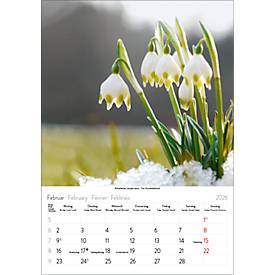 Bildkalender Korsch Blütenzauber 2026, mit Fotomotiven, B 235 x H 335 mm, Papier