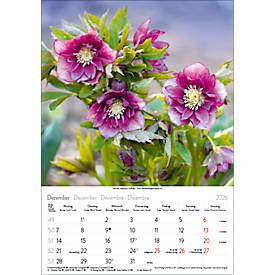 Bildkalender Korsch Blütenzauber 2026, mit Fotomotiven, B 235 x H 335 mm, Papier