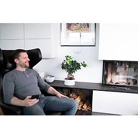 Brennenstuhl Kohlenmonoxid-Melder/CO-Melder CM A 3030, 85 dB Alarm, LED-Anzeige, optisches und akustisches Signal, B 120 x H 80 x T 37 mm, weiß, inkl. 2x AA Batterien