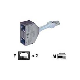 BTR Cable Sharing Adapter pnp 1 - Telefon-Splitter - RJ-45 (W) zu RJ-45 (M) - 8.9 cm - Grau (Packung mit 2)