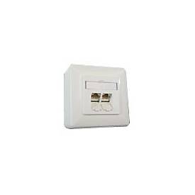 BTR IT CONNECT E-DAT C6 8/8(8) AP Cat.6 - Wanddose - CAT 6 - RJ-45 X 2 - Pure White, RAL 9010