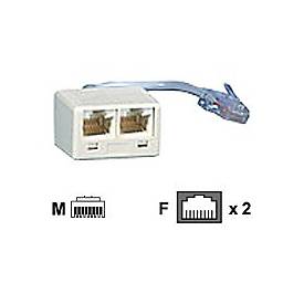 BTR - Netzwerk-Splitter - RJ-45 (M) zu RJ-45 (W) - 10 cm