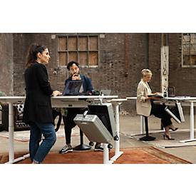 Business Koffer actiCase, mit Rollen, 21,5 l, B 370 x T 190 x H 560 mm, Aluminium, silber