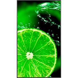 Business Monitor Sharp/NEC MultiSync® E988, 98', 3840 x 2160 px, IPS Panel, HDMI/USB/LAN, 2 x 10 W, integrierter Mediaplayer, Dauerbetrieb