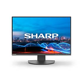 Businessmonitor SHARP MultiSync® EA241W, 24″, 1920 x 1200, HDMI/DisplayPort/USB/VGA, dreh-/schwenk-/neigbar, höhenverstellbar, schwarz