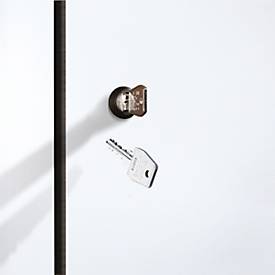 C+P Zylinderschloss mit 2 Schlüsseln, für Evolo Plus, Schließkreis bis 1000 Schließungen, silber