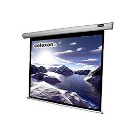 Image of Celexon Economy Manual Screen Leinwand - 318 cm (125")
