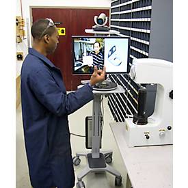 Computerwagen Ergotron Neo-Flex Dual WideView 24-194-055, für 2 Bildschirme, bis 45,4', bis 20,9 kg, höhenverstellbar, VESA, grau