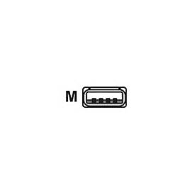 Image of "Datalogic CAB-424E - USB-Kabel - USB (M) - 3 m - gewickelt - für Gryphon Desk D432 2D; Gryphon I GBT4100, GM4100, GM4130; Gryphon L GD4310, GD4330"