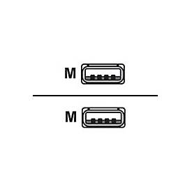 Image of Datalogic - USB-Kabel - USB bis USB - 2.4 m