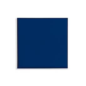 Deckenpaneele colorPAD®, für Rasterdecken, B 620 x T 620 x H 17 mm, dunkelblau, glatt