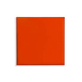 Deckenpaneele colorPAD®, für Rasterdecken, B 620 x T 620 x H 17 mm, orange, glatt