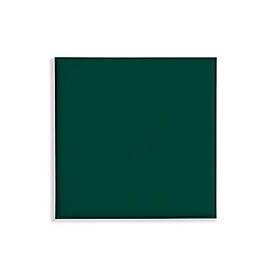 Deckenpaneele colorPAD®, für Rasterdecken, B 620 x T 620 x H 17 mm, tannengrün, glatt