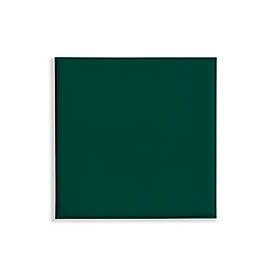 Deckenpaneele colorPAD®, für Rasterdecken, B 620 x T 620 x H 32 mm, tannengrün, glatt