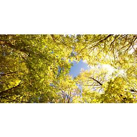 Deckensegel, Wald,1600x800 mm