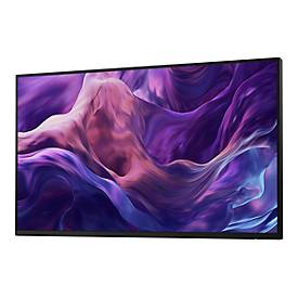 Dell P2425H - Ohne Standfuß - LED-Monitor - 61 cm (24')