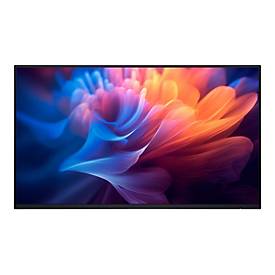 Dell P2725H - Ohne Standfuß - LED-Monitor - 68.6 cm (27')