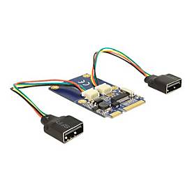 Image of Delock MiniPCIe I/O PCIe full size 2 x USB 2.0 - USB-Adapter - PCIe Mini Card - USB 2.0 x 2