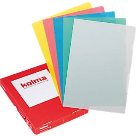 Dossier CopyResistant AntiReflex SuperStrong, Visa, format A4, anti-reflets, indélébile, très résistant, 100 p., trié par coloris
