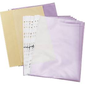 DURABLE Prospekthülle Business, DIN A5, oben offen, 100 Stück, glatt, klar