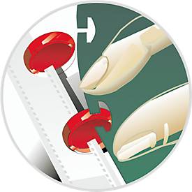 Durable Sichtbuch Easy Plus, für DIN A4, mit 20 Sichthüllen, 2 Stück, schwarz