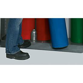 Einrollklappe für asecos Druckgasflaschenschrank LG.215.100, arretierbar, Stahlriffelblech verzinkt, grau