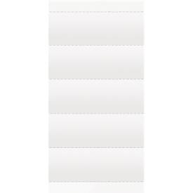 Einsteckschilder für Vollsichtreiter Alpha, B 60 x H 21 mm, 250 Stück 