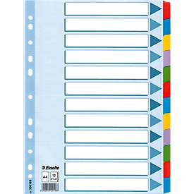Esselte Karton-Register Mylar, 12 Taben blanko