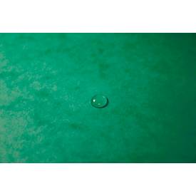 Exacompta Eckspannmappe, DIN A4, mit Gummizug, beschriftbar, Colorspan-Karton, 355 g/m², grün